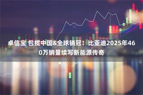 卓信宝 包揽中国&全球销冠！比亚迪2025年460万销量续写新能源传奇