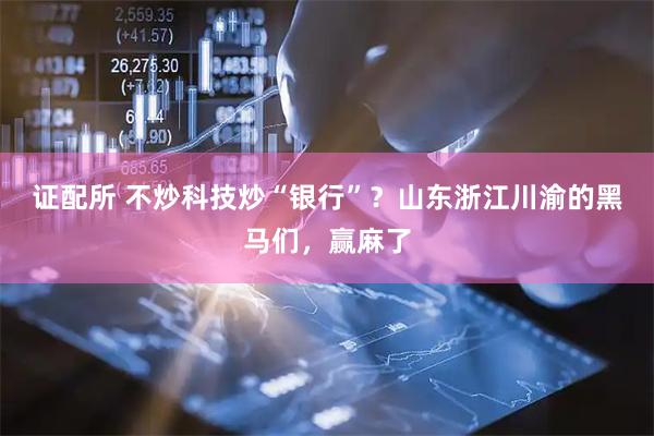 证配所 不炒科技炒“银行”？山东浙江川渝的黑马们，赢麻了